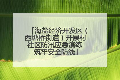 海盐经济开发区（西塘桥街道）开展村社区防汛应急演练 筑牢安全防线